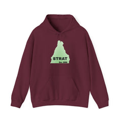 Strat Est. 95 Hoodie