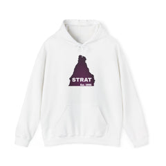 Strat Est. 95 Hoodie