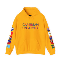 Caribbean University Three-Panel Hoodie, Design for Students from the Caribbean or Caribbean Ancestry, Gift, Caribbean Pride, Warm Apparel