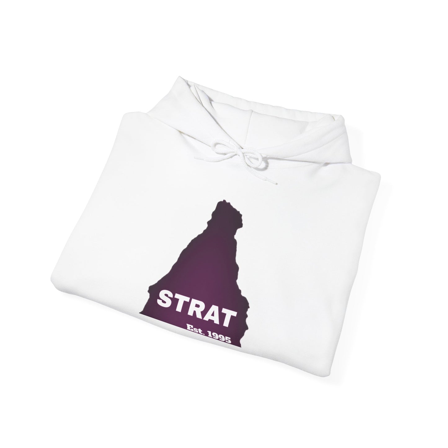 Strat Est. 95 Hoodie