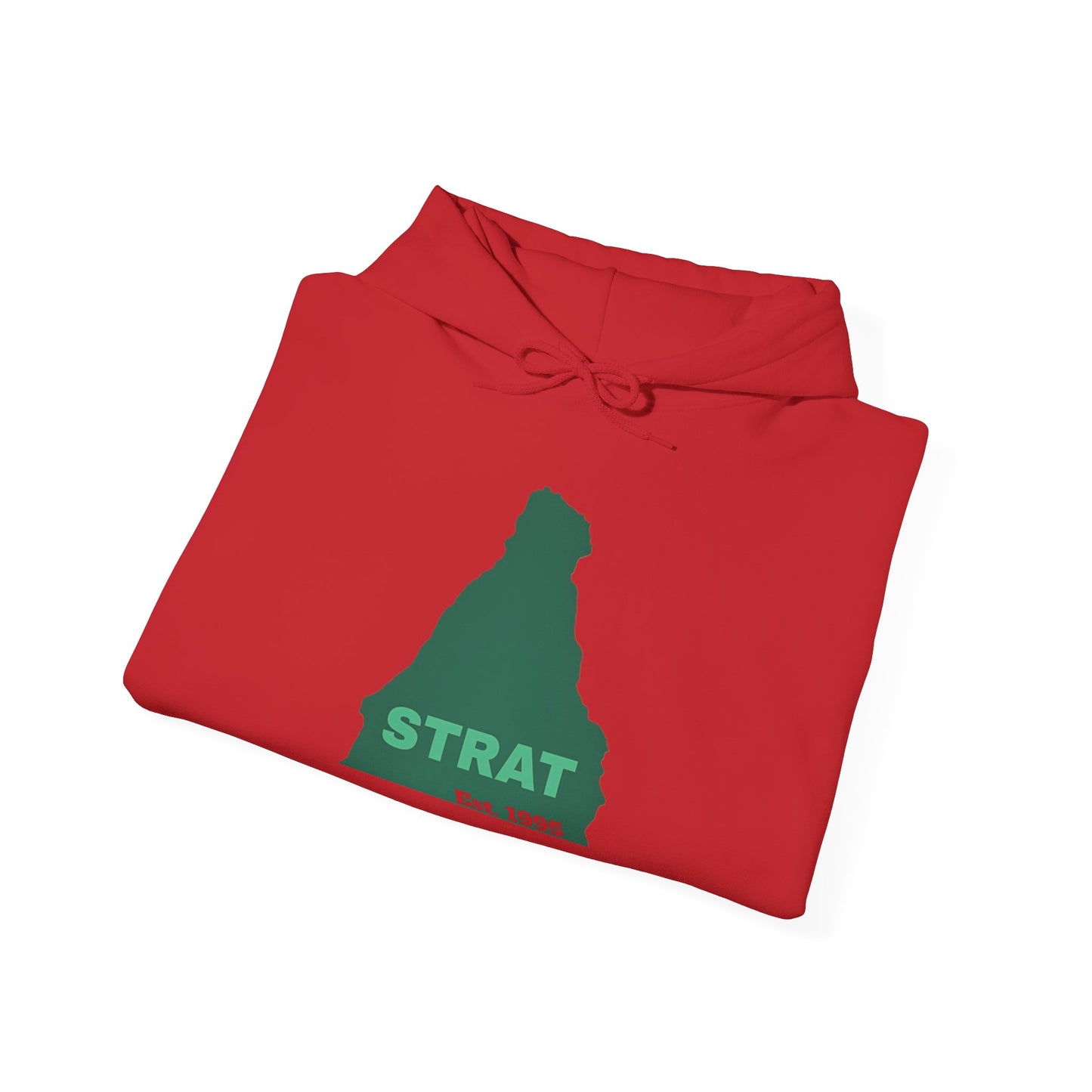 Strat Est. 95 Hoodie