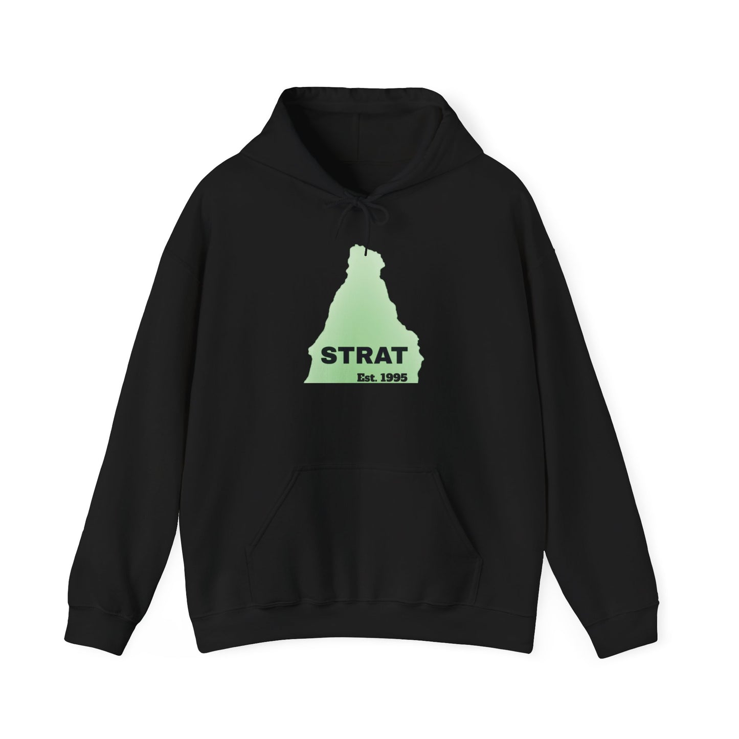 Strat Est. 95 Hoodie